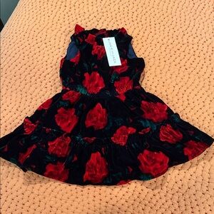 Janie and Jack Black Velvet Dress with Red Floral Print size 3-6 months
